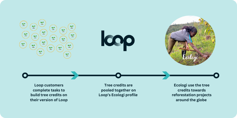 A diagram depicting how Loop integrates Ecologi