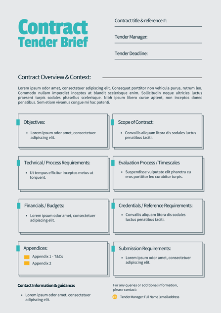 tender brief example template