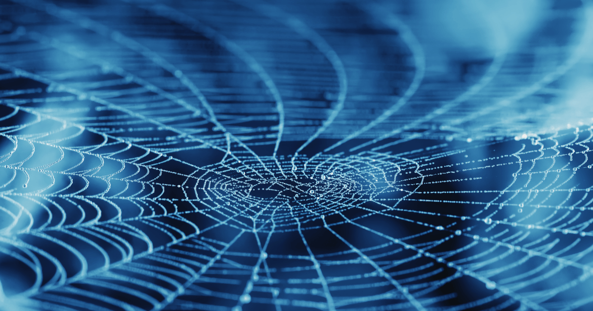 Spiders web to illustrate the dashboard trap